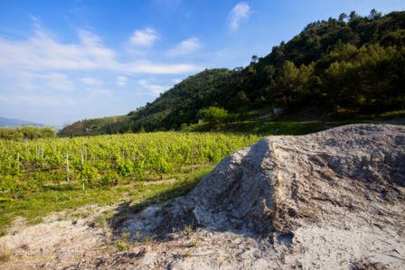 Tre Bicchieri 2015 Gambero Rosso: Valle d'Aosta, Liguria e Basilicata