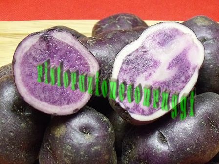 Crema di Patate viola alle mandorle