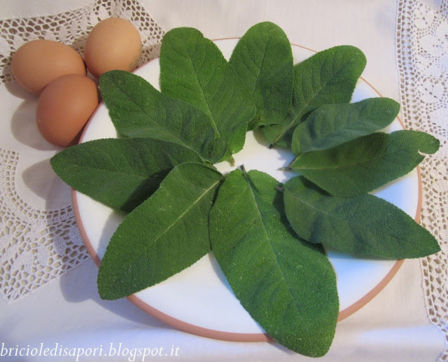 Salvia impanata e fritta
