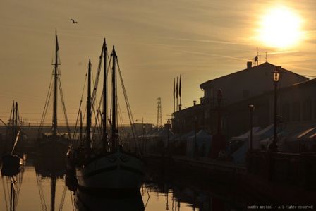 LE PANOCCHIE IN UMIDO CON PATATE E LA BELLA CESENATICO