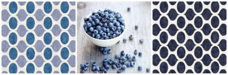 I mirtilli / Blueberries