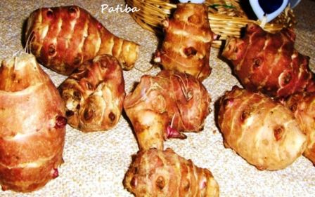 Topinambùr alla maniera di A. Escoffier