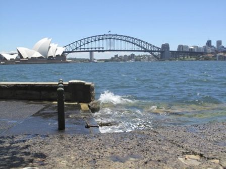 Tagliatelle col ragù a Sydney