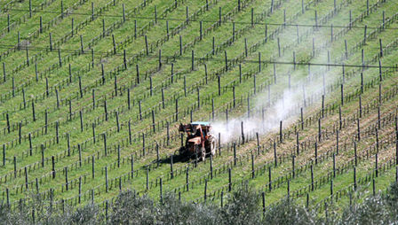 Saluti gastronomici dalla Val d’Orcia