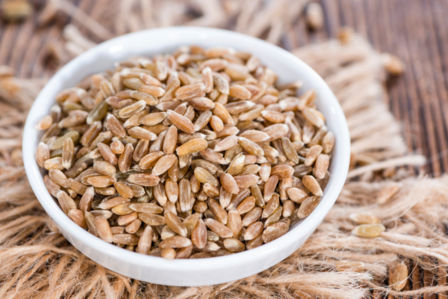 Insalata di farro con pesto