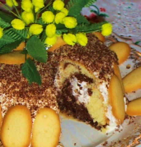 Torta marmorizzata con crema Chantilly & "lingue di gatto" dell'Artusi