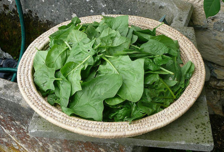 Spinaci surgelati in padella con parmigiano