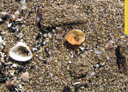 Fine settimana tra mare e cioccolato