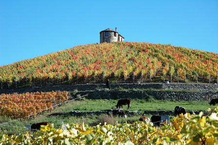 Les Cretes, Chardonnay Cuvee Boisè Valle D’Aosta 2004