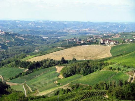 Boscareto resort: segno tangibile dell’amore per la terra o violenza al paesaggio di Langa?