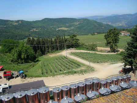 Frescobaldi: la nuova avventura del Pinot Nero di Pomino e i “grandi” Cru della Rufina