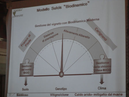 Convegno Biodinamica Cerreto Guidi: Rita Mulas e il terraforming del Carignano del Sulcis a Portoscuso