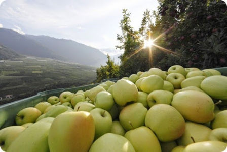 Dall’Alto Adige: un territorio unico, sorprendente, dalla natura incontaminata e dalle forti tradizioni.