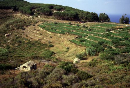 VIAGGI. 5 scatti per innamorarsi dell’Isola del Giglio