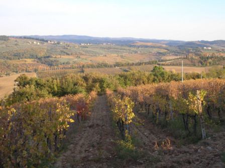 Bastano 100 euro per adottare una vigna e fare il vostro Chianti (senza barrique): l’idea di Sant’Appiano