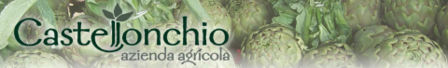 Toscana: Azienda Agricola Castellonchio al Mercatale di San Miniato (PI)