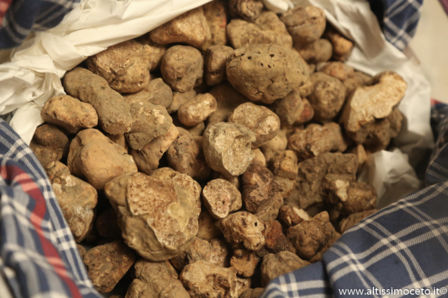 Ristorante Quintilio – Altare (SV) – Patron Luca e Lorena