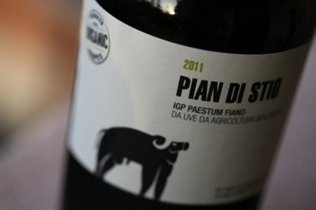 IGP Paestum Fiano “Pian di Stio” – San Salvatore 2011 [6.5]