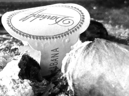 Davidoff Lancero 1982 [9.0]