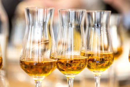 Modus bibendi 03: W i brandy italiani