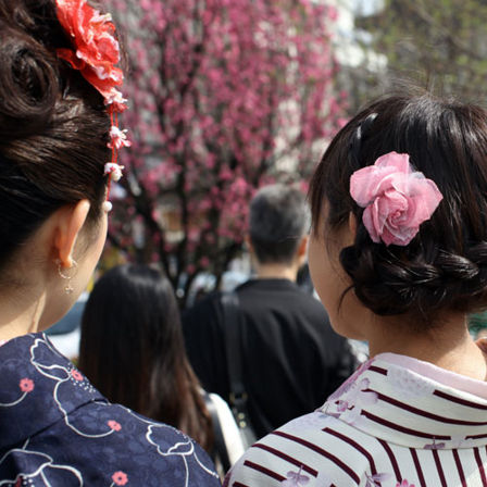 Come fare Hanami?