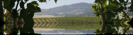 Geografico e la magia della Toscana delle cooperative per Vino di una notte di MEzza Estate a Terrazza Bardini 21 Luglio, God Save The Wine!
