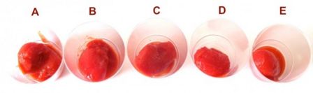 Prova d’assaggio: pomodori pelati