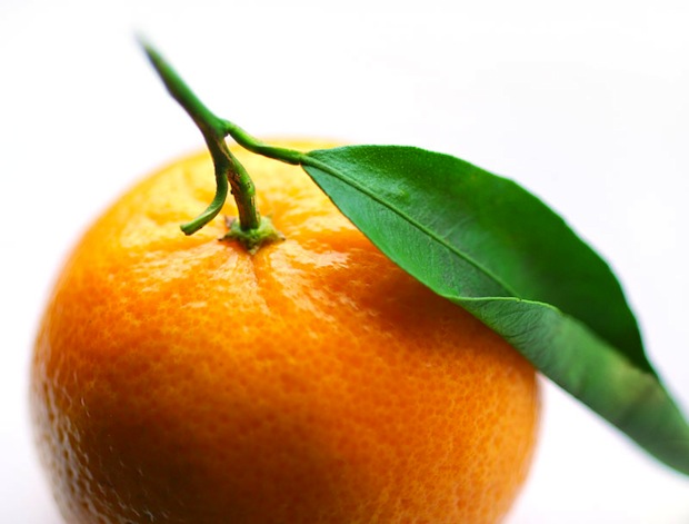 Convincere l’umanità a fare la marmellata d’arance come la vostra è tempo sprecato. Tutto il resto è jam
