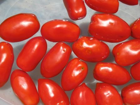 Condizioni non negoziabili: la passata di pomodoro Cianci’s way