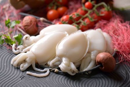 Seppie, conoscete le proprietà di questo delizioso mollusco?