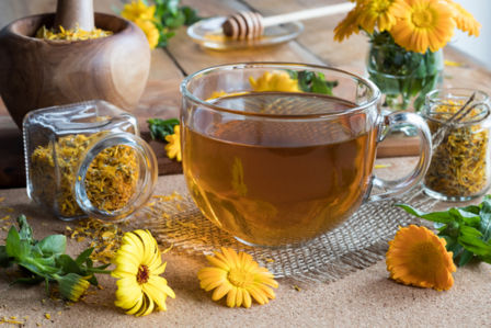 Oli, infusi, fiori e foglie fresche: come beneficiare delle proprietà della calendula?