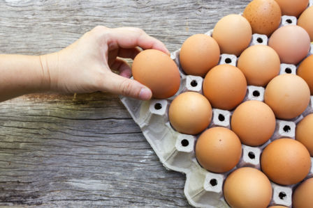 Allevamento all’aperto: quali sono i vantaggi e i possibili rischi?