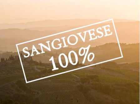 Montalcino rimane la patria del 100% sangiovese! Così parlò l’Assemblea