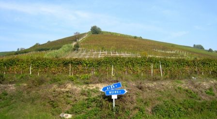 Barolo e Barbaresco | Previsioni per la vendemmia 2011 dalla Borgogna d’Italia