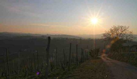 Golosaria, due weekend nel Monferrato