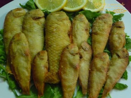 Frittura di surici o pesce pettine