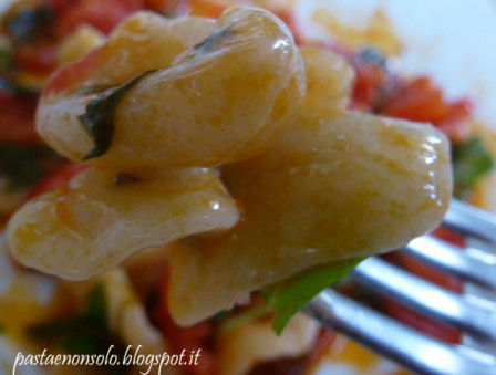 Orecchiette rucola e pomodorini