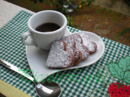 Fuori piove e io inforno….Biscotti al cioccolato con Farina di Riso