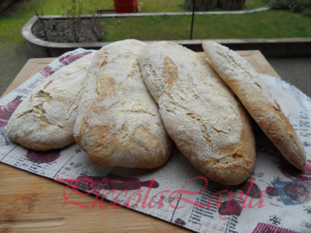 Ciabatta con Pasta Madre