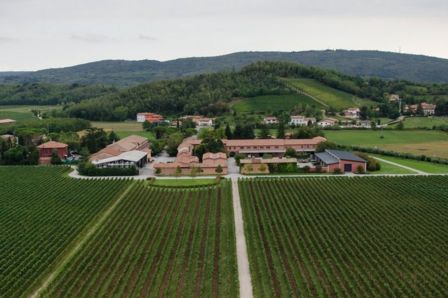 Assaggiatori Anag patentati in distilleria