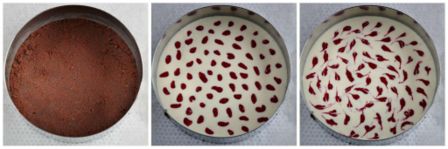 Cheesecake alla ricotta e lamponi