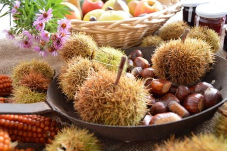 On Divin Ottobre La Strada del vino e dei sapori del Trentino dà il benvenuto all’autunno