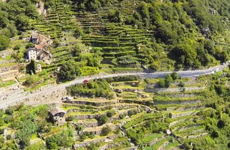 Valle D’Aosta, terra di ottimi vini e specialità gastronomiche