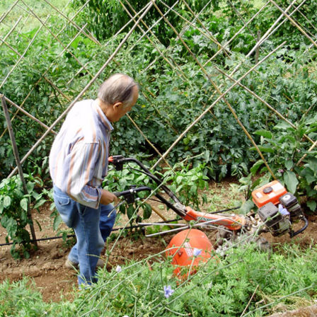 Filiera certa. I Gruppi di Acquisto Solidale