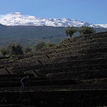 Vignaioli dell’Etna 2012. I 20 migliori vini da provare subito a Roma