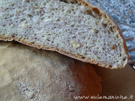 Pane alle noci a lievitazione naturale