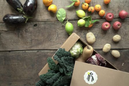 Sapore Maggiore: orto-frutta a casa tua, direttamente dai coltivatori
