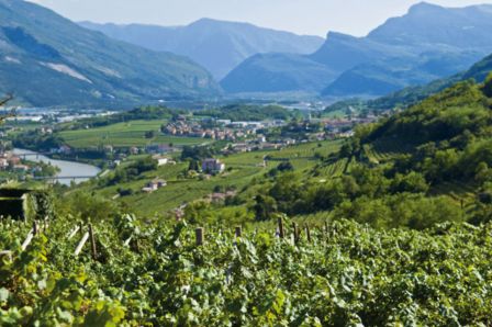 Giovedì 20 Settembre riparte God Save the Wine con il TrentoDOC a Firenze, tempo di brindare!