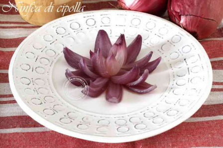 NINFEA DI CIPOLLA