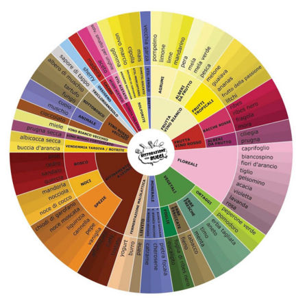 Dischi per analisi sensoriale - Le ruote degli aromi del Vino